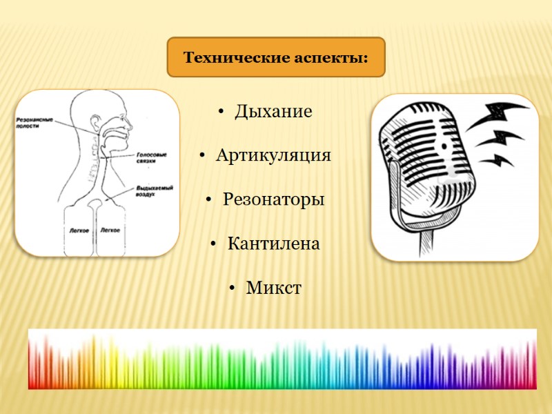 Дыхание  Артикуляция Резонаторы Кантилена Микст  Технические аспекты: